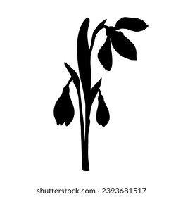 Silhouette of a spring snowdrop flower. Vector graphics.