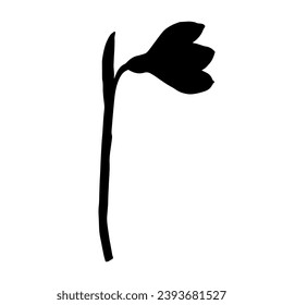 Silhouette de una flor de nevada primaveral. Gráficos vectoriales.