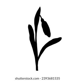 Silhouette of a spring snowdrop flower. Vector graphics.