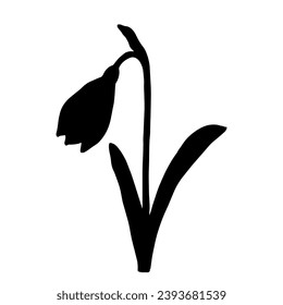 Silhouette of a spring snowdrop flower. Vector graphics.