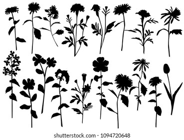 Silhouette spring and summer forest and garden wild flowers isolated on white Vector illustration of the nature of the flower in spring and summer in the garden, dandelion, chamomile, black 