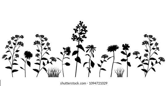 Silhouette spring and summer forest and garden wild flowers isolated on white Vector illustration of the nature of the flower and grass in spring and summer in the garden, dandelion, chamomile, black