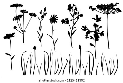 Silhouette spring and summer forest and garden wild flowers isolated on white Vector illustration of the nature of the flower and grass in spring and summer in the garden, dandelion, chamomile, black