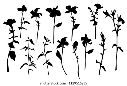 Silhouette spring and summer forest and garden wild flowers isolated on white Vector illustration of the nature of the flower in spring and summer in the garden, dandelion, chamomile, black