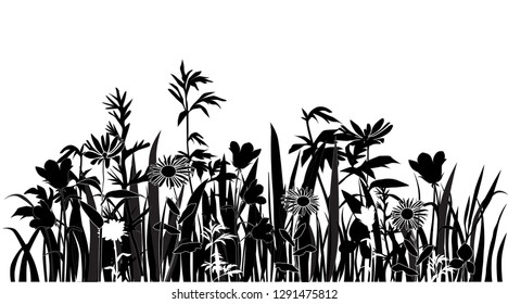 Silhouette of spring and summer forest and garden wild flowers isolated on white Vector illustration of nature flowers and herbs in garden,chamomile,campanula, daisy, grass, black color