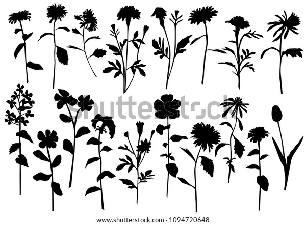 Silhouette Spring Summer Forest Garden Wild Stock Vector (Royalty Free ...
