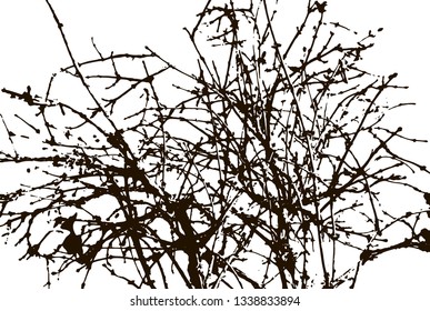 silhouette of a spring tree branches