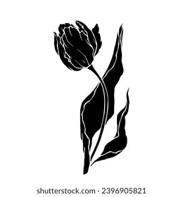 Silhouette of spring tulip flower.Decorative botanical element.Vector graphics.