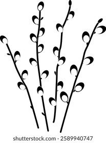 Silhouette of spring willow twigs. Catkin willow. Vector illustration with transparent background.