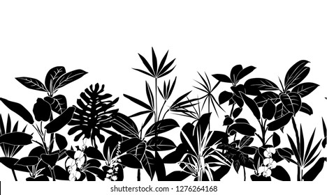 Silhouette of spring-summer tropical plants and flowers. Seamless horizontal pattern. Vector illustration of nature ficus, palm, dracaena, orchid, black and white isolated on white background
