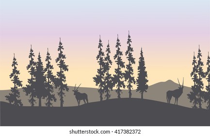 Silhouette of spruce and antelope in the hills
