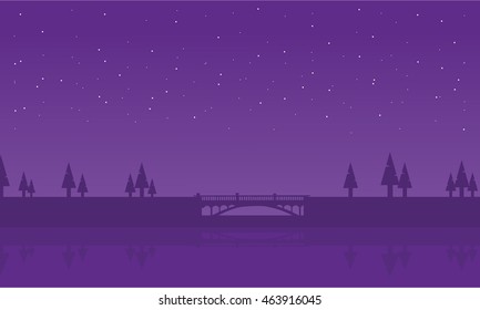 Silhouette of spruce and bridge at the night