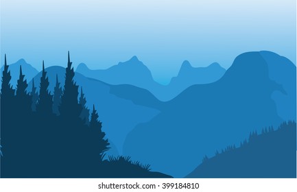 Silhouette of spruce and mountain with a fog