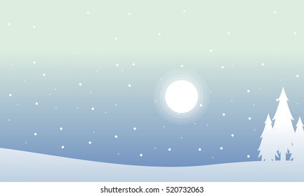 Silhouette of spruce at night christmas scenery