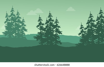 Silhouette of spruce on the hill