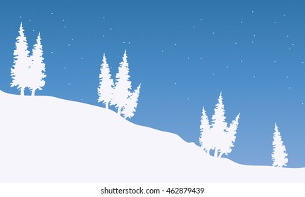 Silhouette of spruce in snow at the night