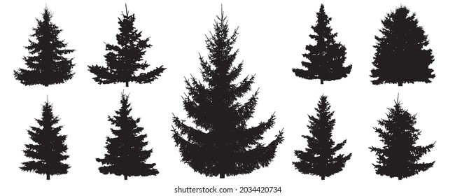 Silhouette of spruce trees, set. Beautiful fir tree for creating forest. Vector illustration 