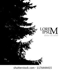 silhouette of spruce. Vector