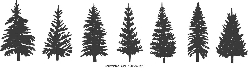 silhouette of spruce. winter landscape, vector graphics. sketch.