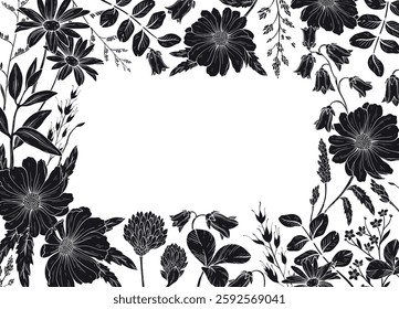 silhouette square frame of different wild herbs and flower