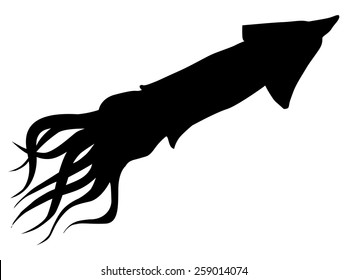 silhouette of squid