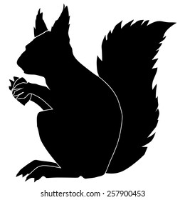 silhouette of squirrel