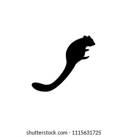 silhouette of a squirrel icon. Element of animals icon for mobile concept and web apps. Detailed silhouette of a squirrel icon can be used for web and mobile on white background
