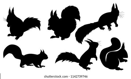 silhouette of a squirrel on a white background