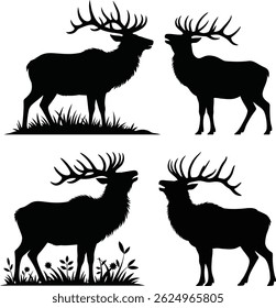 Silhueta de Stags com Grandes Antlers em Natural Grass e Configurações de Flor