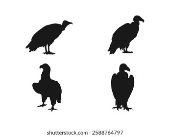 Silhouette of a stalking Griffon vulture bird. Black silhouette of a vulture on a white. African animals. Vector illustration. Minimal design, minimalist logo vector. Vector on a white background.