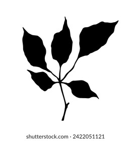 Silhouette, sello de una rama con follaje. Gráficos vectoriales.