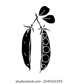 Silhouette, stamp of green pea pod. Decorative botanical element. Vector graphics.