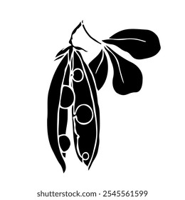 Silhouette, stamp of green pea pod. Decorative botanical element. Vector graphics.