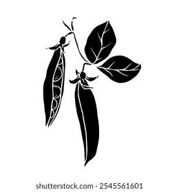 Silhouette, stamp of green pea pod. Decorative botanical element. Vector graphics.