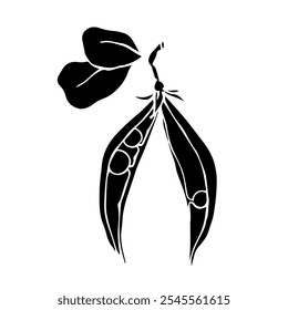 Silhouette, stamp of green pea pod. Decorative botanical element. Vector graphics.