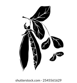 Silhouette, stamp of green pea pod. Decorative botanical element. Vector graphics.