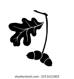 Silhouette, stamp of oak branch with acorns. Decorative botanical elements. Vector graphics.