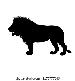 Silhouette of standing african lion. Side view. Vector illustration isolated on the white background