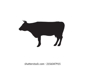 Silhouette of a standing cow vector image.Cow silhouette icon design template isolated vector image.Cow silhouette vector image.eps