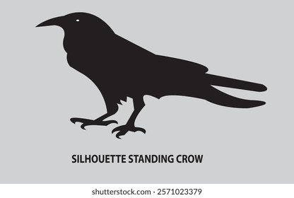 Silhouette Standing Crow with Black Colour