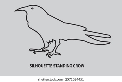 Silhouette Standing Crow with Black Colour