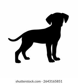 Silhouette of a Standing Dog Breed on White Background