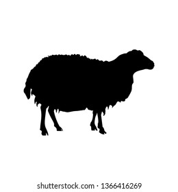 Silhouette of a standing domestic sheep. Vector illustration isolated on white background