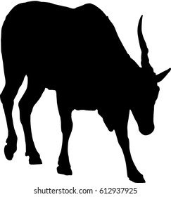 Silhouette of a standing eland antelope, hand drawn vector illustration isolated on white background