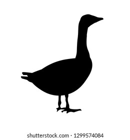 Silhouette of a standing goose. Side view. Vector illustration isolated on white background