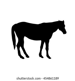 Silhouette of standing horse on white background. Side view. Art vector illustration.