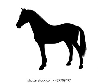 Silhouette of a standing horse. There is a variant in a vector.