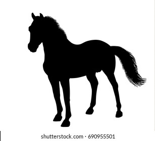 Silhouette of a standing horse. There is a variant in a vector.