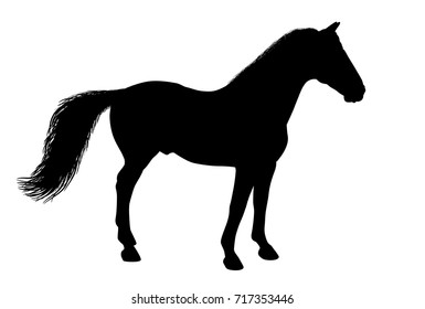 Silhouette of a standing horse. There is a variant in a vector.