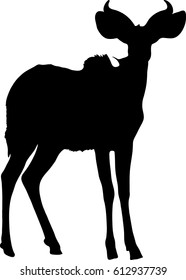 Silhouette of a standing kudu antelope, hand drawn vector illustration isolated on white background